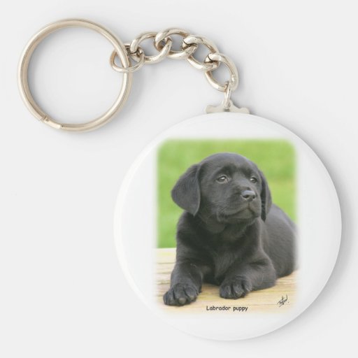 Labrador puppy 9Y267D-109 Keychain