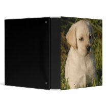 Labrador Puppy Binder by eclipse_designs Labrador Puppy Binder