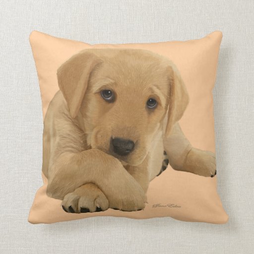 next labrador cushion