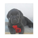 Labrador puppy dog scratch pad