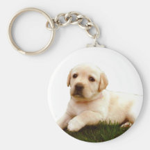 Labrador puppy keychain