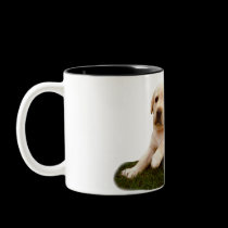 Labrador puppy mug mugs
