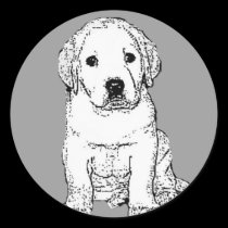 Labrador Puppy stickers stickers