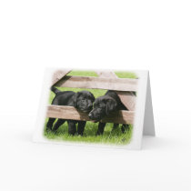 Labrador Pups 9Y415D-168 cards