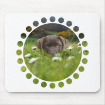 labrador-retriever-12 mousepads
