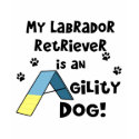 Labrador Retriever Agility Dog Ladies Tank Top t-shirts