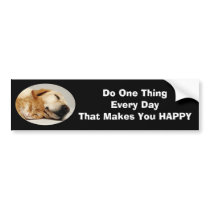 Labrador Retriever and Cat Bumper Sticker bumper stickers