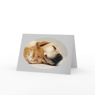 Labrador Retriever and Cat Card