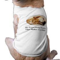Labrador Retriever and Cat Pet Clothing pet clothing