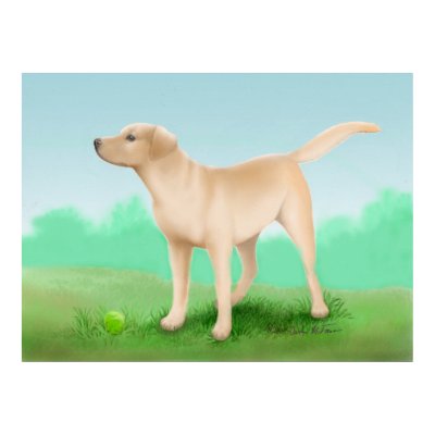Labrador Retriever and his Tennis Ball Poster by twopurringcats