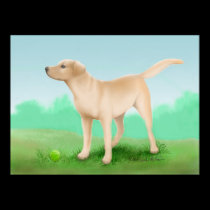 Labrador Retriever and his Tennis Ball posters