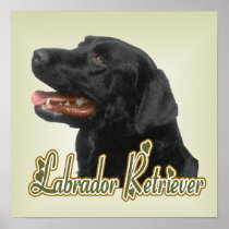 Labrador Retriever Art Print