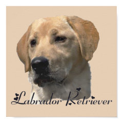 Yellow Labrador Retriever Art Prints 