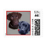 Labrador Retriever Black and Chocolate Stamps