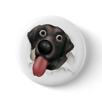 Labrador Retriever (Black) Busting Out Pins