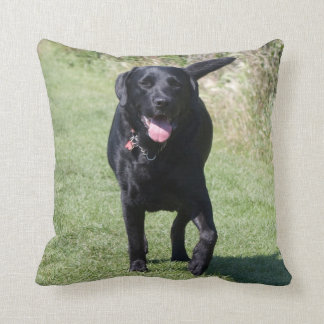 labrador retriever pillows