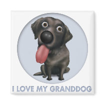 Labrador Retriever (Black) Granddog magnets by cartoondogs Labrador Retriever (Black) Granddog magnets