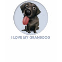 Labrador Retriever (Black) Granddog shirt