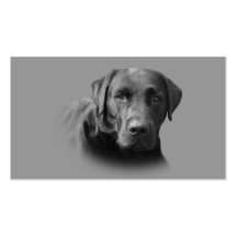 Labrador Retriever Breeder Business Card