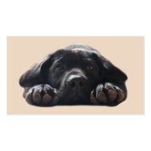 Labrador Retriever Breeder Business Card