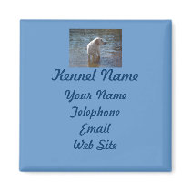 Labrador Retriever Breeder Magnet