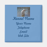 Labrador Retriever Breeder Magnet