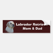 Labrador Retriever Bumper Sticker 