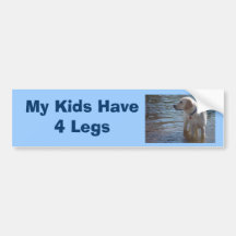 Labrador Retriever Bumper Sticker My Kids