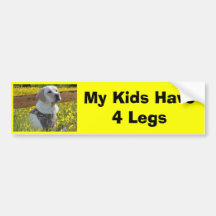 Labrador Retriever Bumper Sticker My Kids