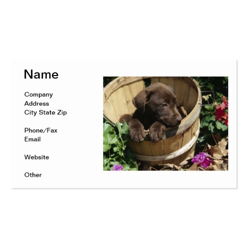 Labrador Retriever Business Card