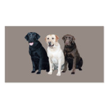 Labrador Retriever Business Card
