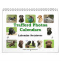 Labrador Retriever calendars