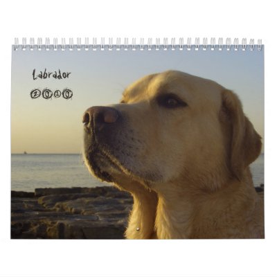 Labrador Retriever calendar  2010 by Rainmountain