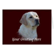 Labrador Retriever Card