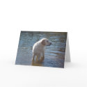 Labrador Retriever Card At The Lake