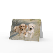 Labrador Retriever Card Pups On Beach by normagolden Labrador Retriever Card Pups On Beach