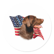 Labrador Retriever (chocolate) Flag Stickers