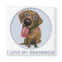 Labrador Retriever (Chocolate) Granddog Magnets