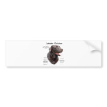 Labrador Retriever (chocolate) History Design Bumper Sticker