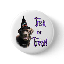 Labrador Retriever (chocolate) Trick buttons