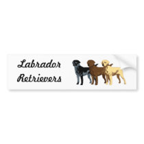 Labrador Retriever colors bumper stickers