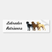 Labrador Retriever colors Bumper Sticker
