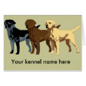 Labrador Retriever colors cards by DDGraphix Labrador Retriever colors cards