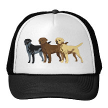 Labrador Retriever colors Hats