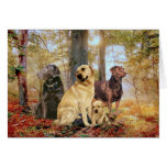 Labrador Retriever Day in The Forest cards