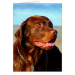 Labrador Retriever Dog Art - Bosco Cards
