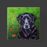 Labrador Retriever Dog Art - Poppy Pin