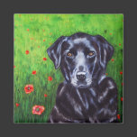 Labrador Retriever Dog Art - Poppy Refrigerator Magnets