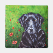 Labrador Retriever Dog Art - Poppy Refrigerator Magnets