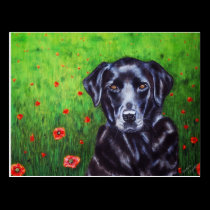Labrador Retriever Dog Art - Poppy postcards